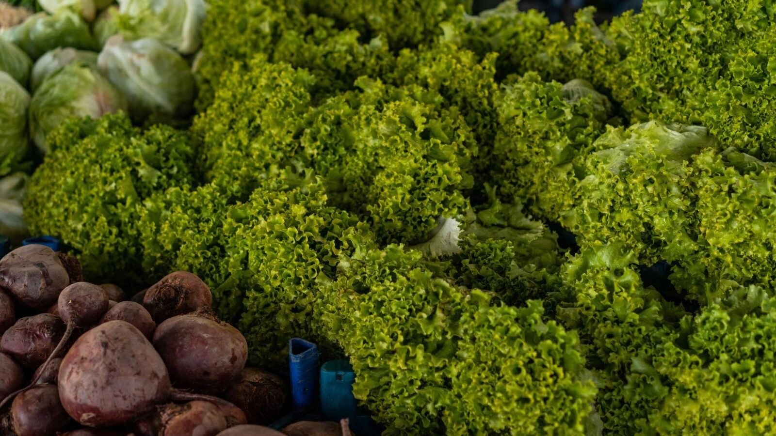 As cyclospora illnesses in U.S. surge to new record, Michigan officials eye lettuce as possible cause