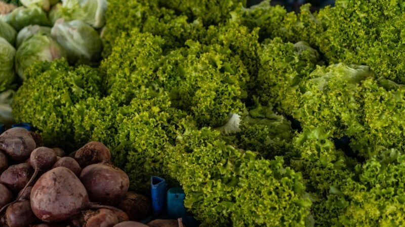 As cyclospora illnesses in U.S. surge to new record, Michigan officials eye lettuce as possible cause