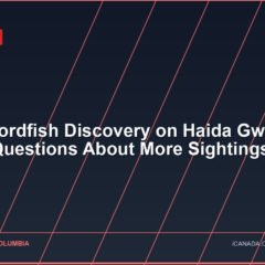 Rare Swordfish Discovery on Haida Gwaii Raises Questions About More Sightings