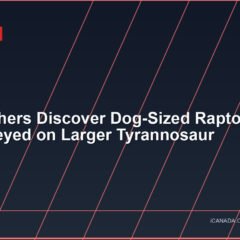 Researchers Discover Dog-Sized Raptor May Have Preyed on Larger Tyrannosaur