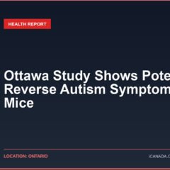 Ottawa Study Shows Potential to Reverse Autism Symptoms in Mice