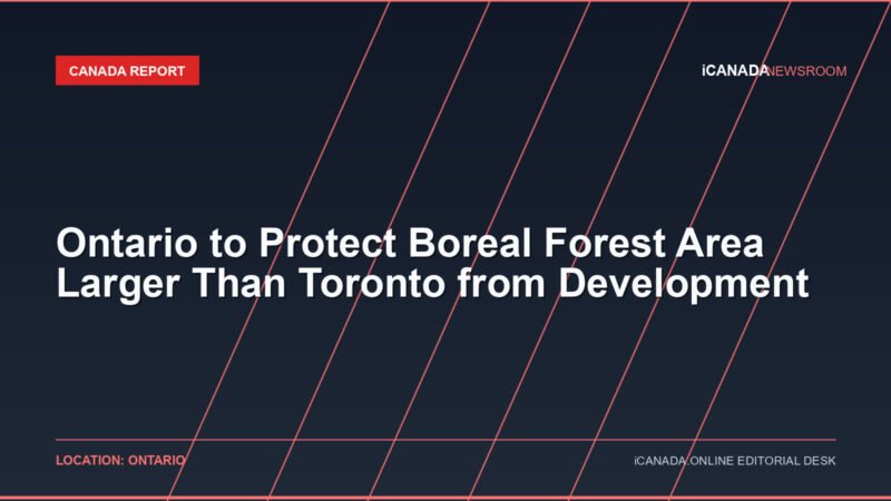 Ontario to Protect Boreal Forest Area Larger Than Toronto from Development