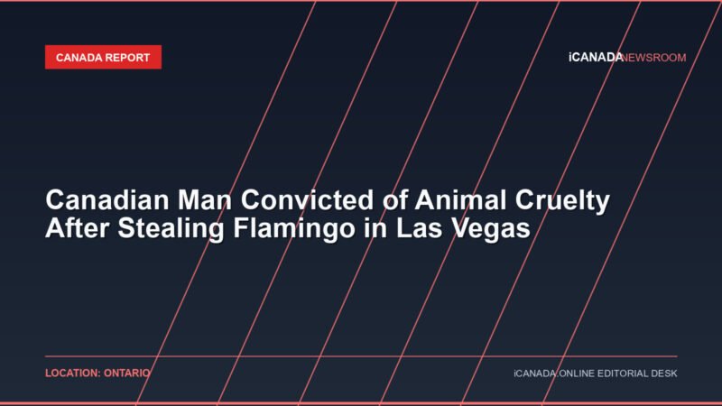 Canadian Man Convicted of Animal Cruelty After Stealing Flamingo in Las Vegas