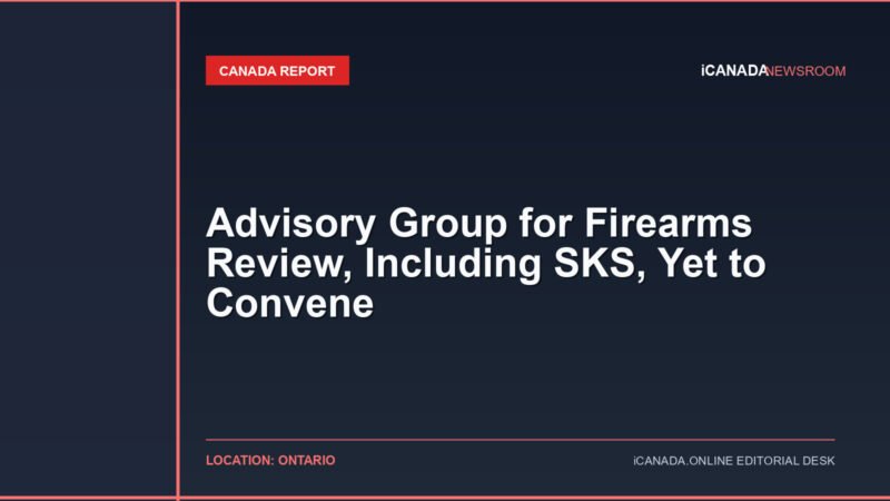 Advisory Group for Firearms Review, Including SKS, Yet to Convene