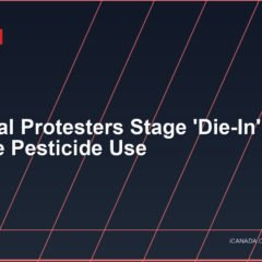 Montreal Protesters Stage ‘Die-In’ to Oppose Pesticide Use
