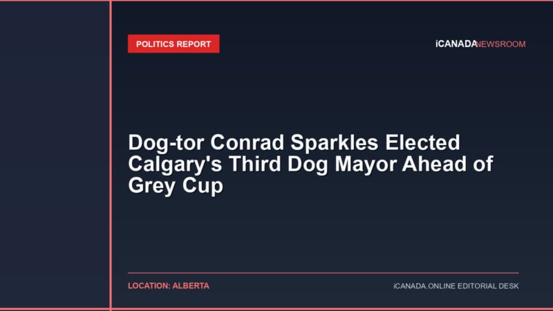 Dog-tor Conrad Sparkles Elected Calgary's Third Dog Mayor Ahead of Grey Cup