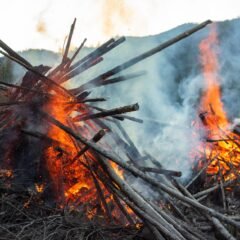 Okanagan Grape Growers Criticize Crop Insurance Amid Wildfire Smoke Issues